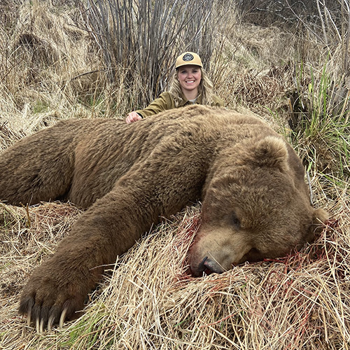 Sheep Show Raffle - Brown Bear Hunt